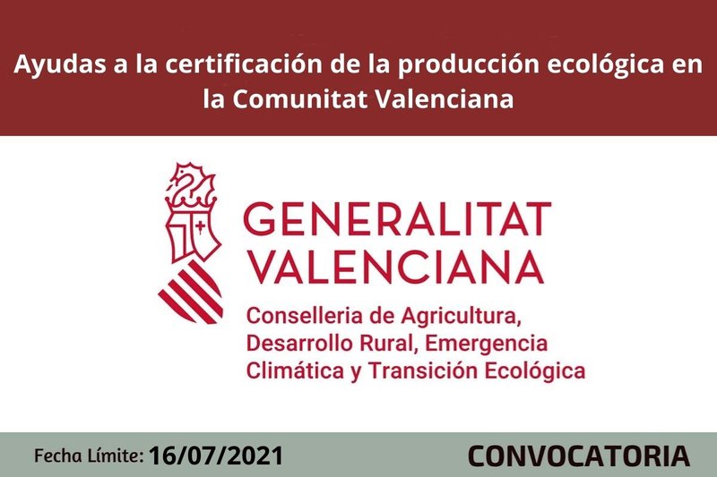 Ampliar imagen