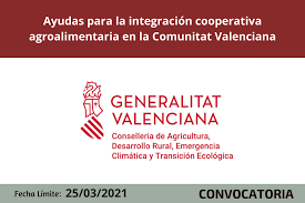 Ampliar imagen