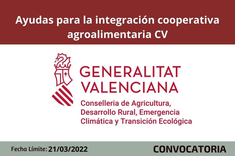 Ampliar imagen