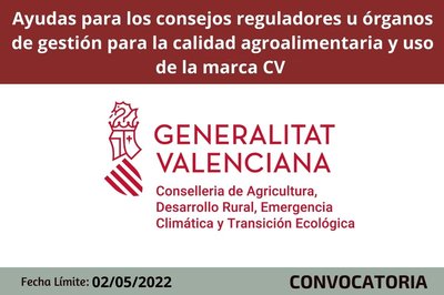 Bases reguladoras de la convocatoria