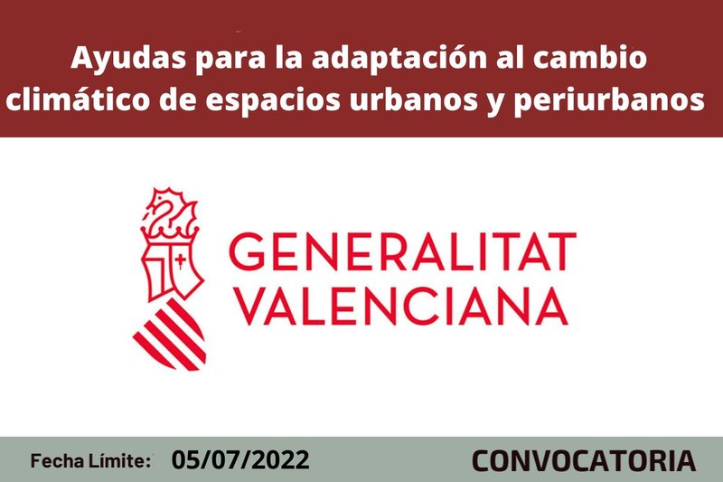 Ampliar imagen