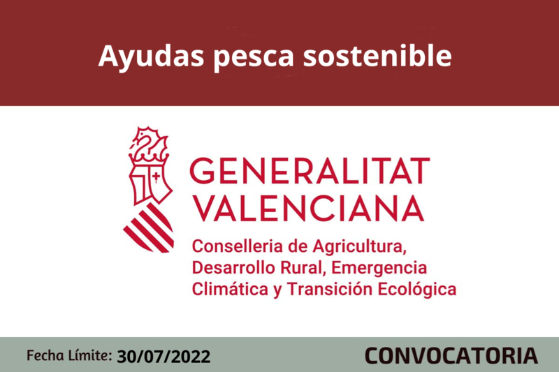 Ampliar imagen