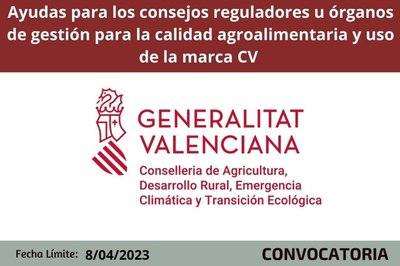 Bases reguladoras de la convocatoria