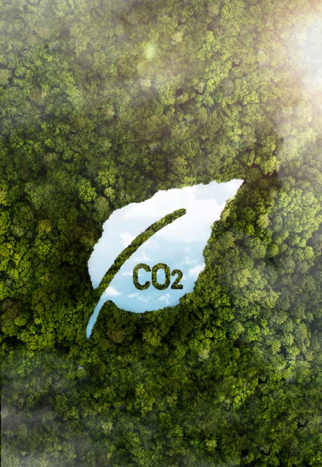 Luz Inteligente
