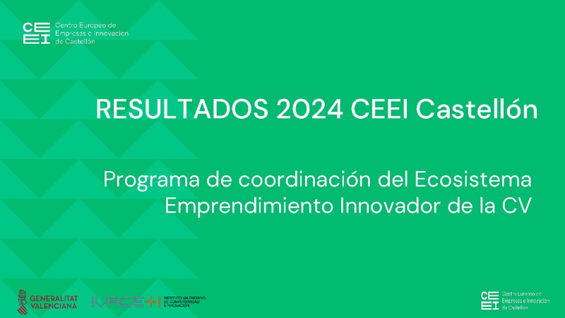 Resumen plan de actividad CEEI Castelln 2024