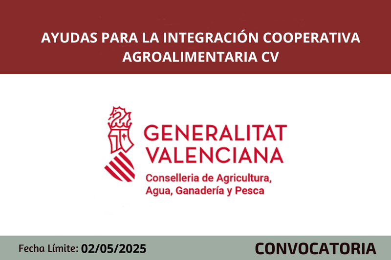 Ampliar imagen