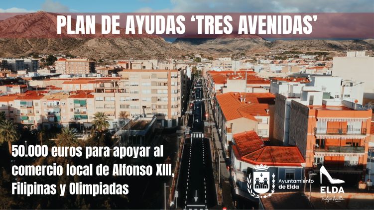 ayudas idelsa