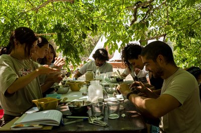 BIO LAB 2025: Un laboratori efímer de regeneració on es creuen creativitat, disseny circular i comunitat.