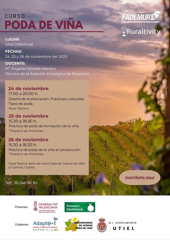 Programación Curso
