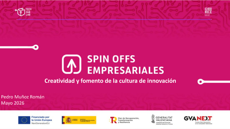 Spin Offs Empresariales | Pedro Mu�oz