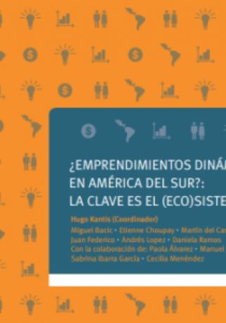 emprendimiento dinámicao en america del sur