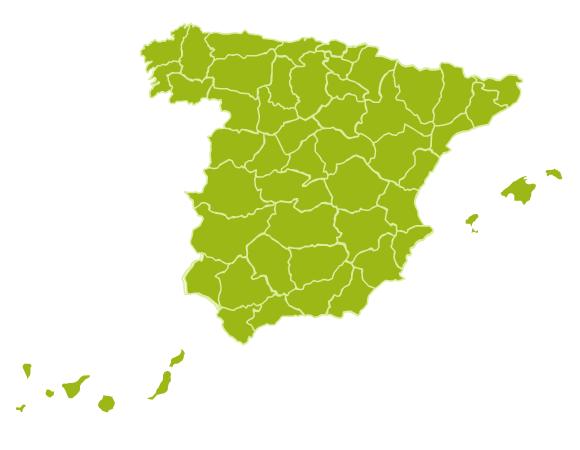 Espa�a en cifras 2008
