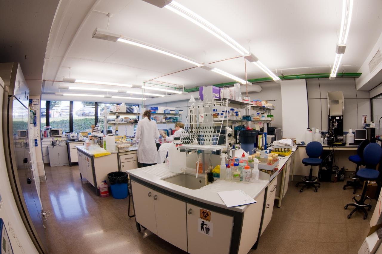 Laboratorio Valentia Biopharma, imágen