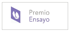 premio everis ensayo 2010