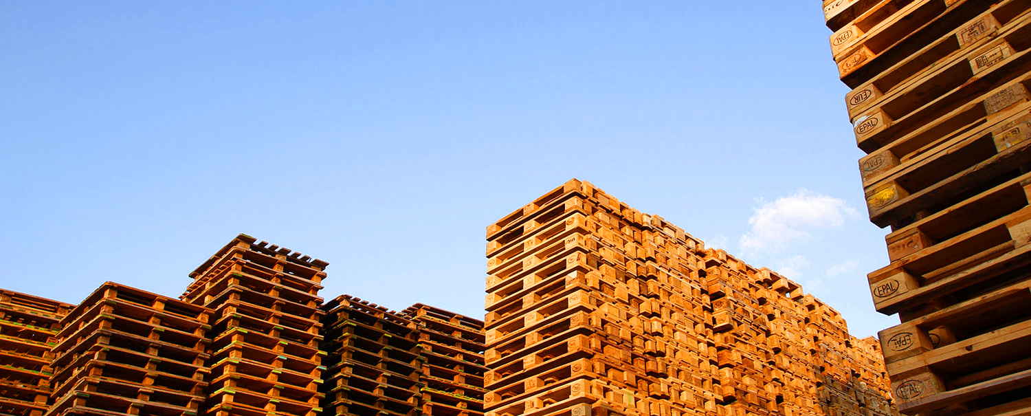 Industrias T�cnicas del Palet, SL