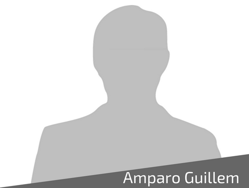 Ampliar imagen