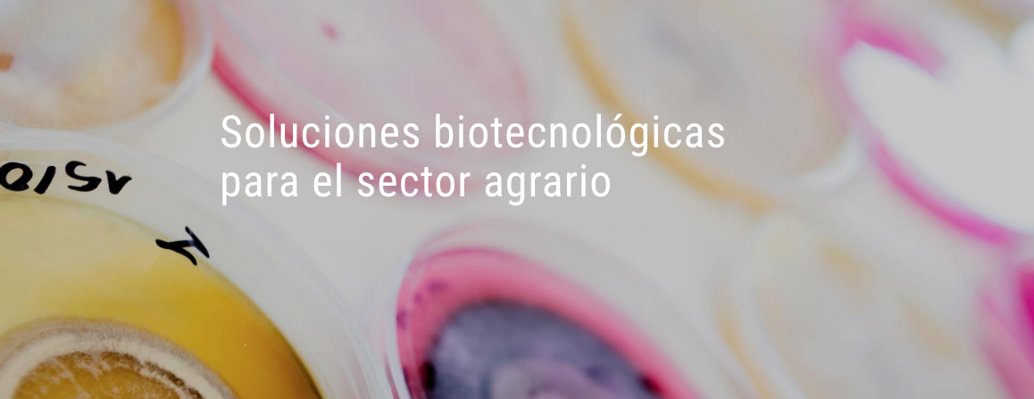 Valgenetics S.L.