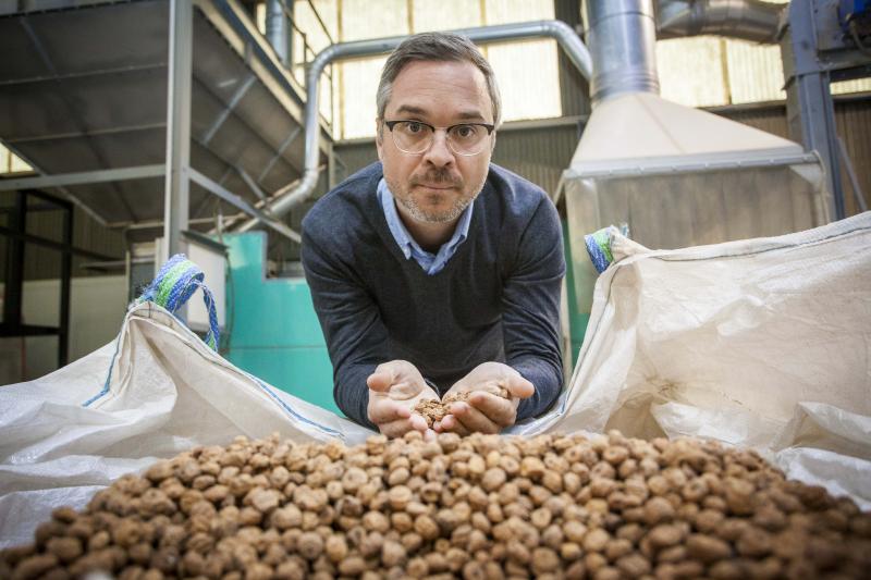 Aceite para cosmticos o base para chocolate, nuevos usos de la chufa