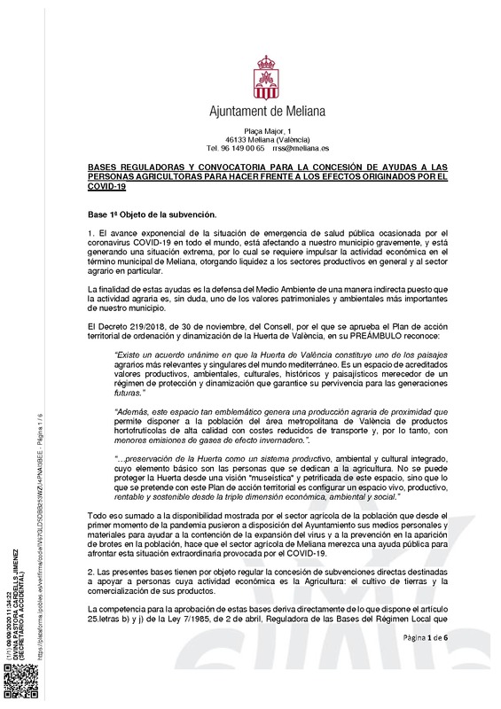Bases de la Convocatoria