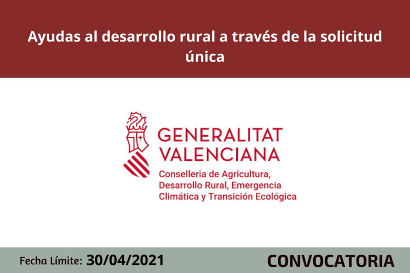 Ampliar imagen