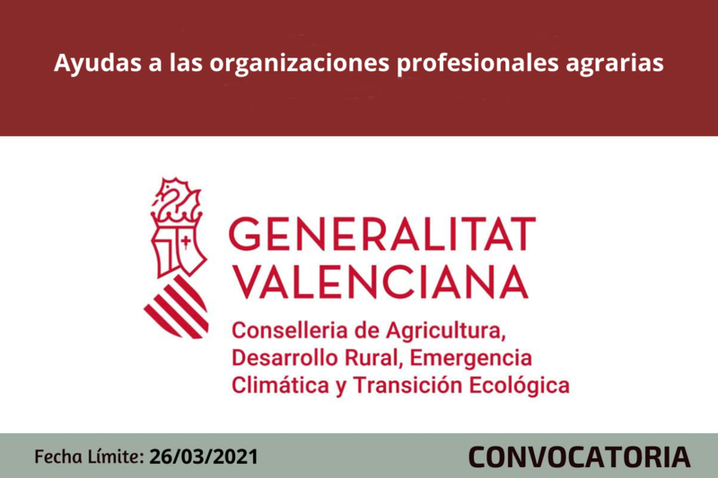 Ampliar imagen