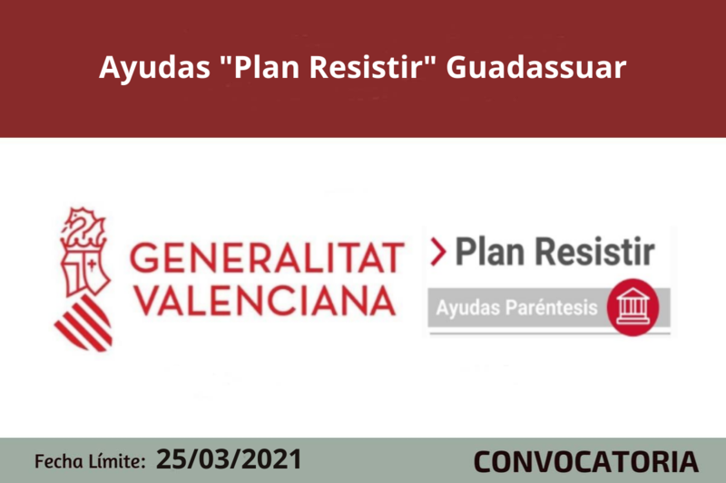 Ampliar imagen