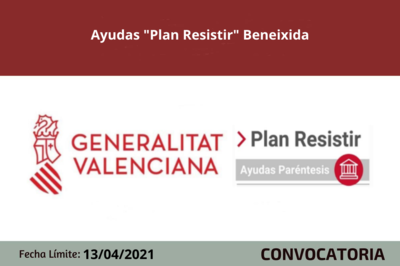 Bases de la convocatoria
