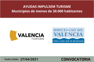 Bases de la Convocatoria