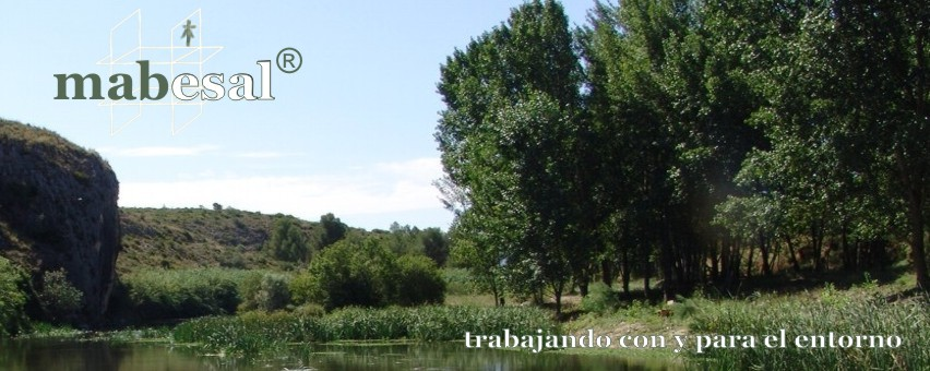 Maderas Beniganim, S.A.L.