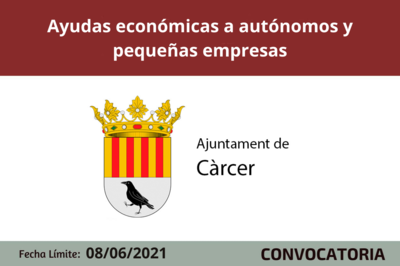 Bases de la Convocatoria